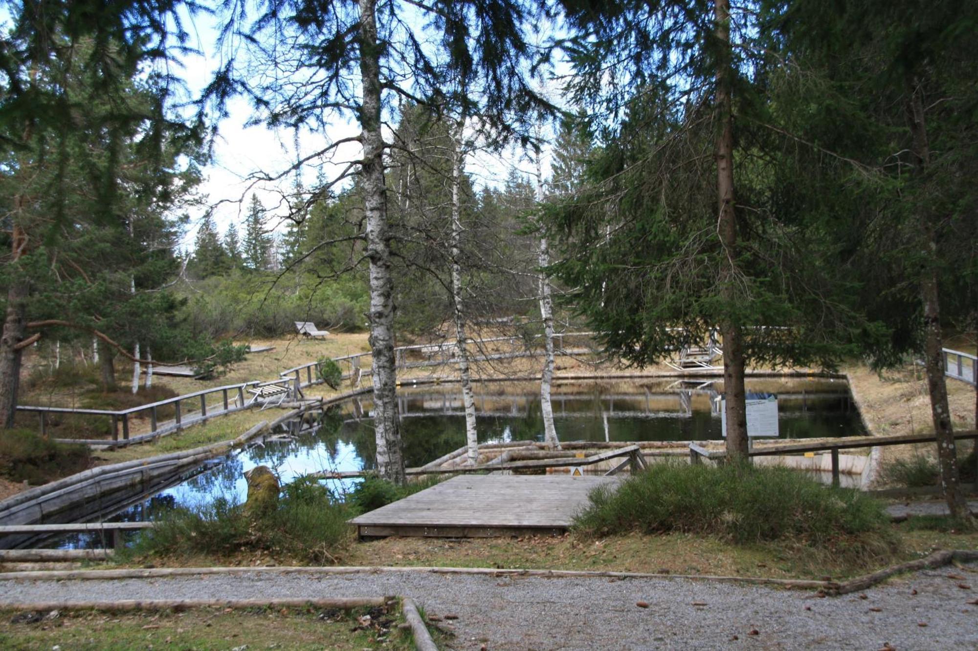 Ferienwohnung Bachmann Oberjoch Εξωτερικό φωτογραφία